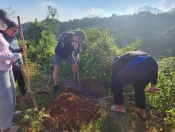 CÁN BỘ, GIÁO VIÊN, NHÂN VIÊN TRƯỜNG THCS NÀ TẤU THAM GIA TRỒNG CÂY HOA BAN DỌC TUYẾN ĐƯỜNG VÀO BẢN NẬM CỨM